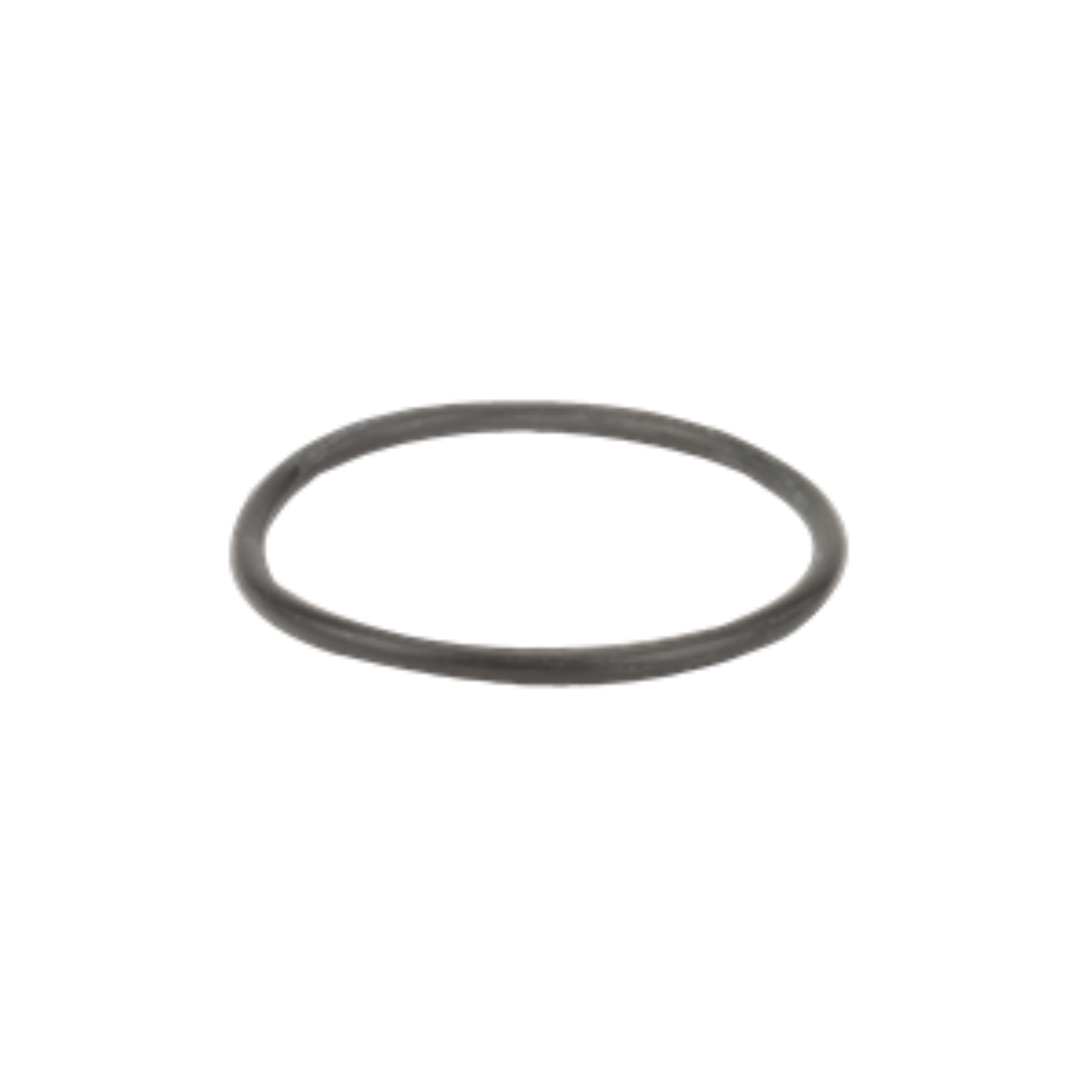 LS150-G JUNTA CORPO DO FILTRO BANJO